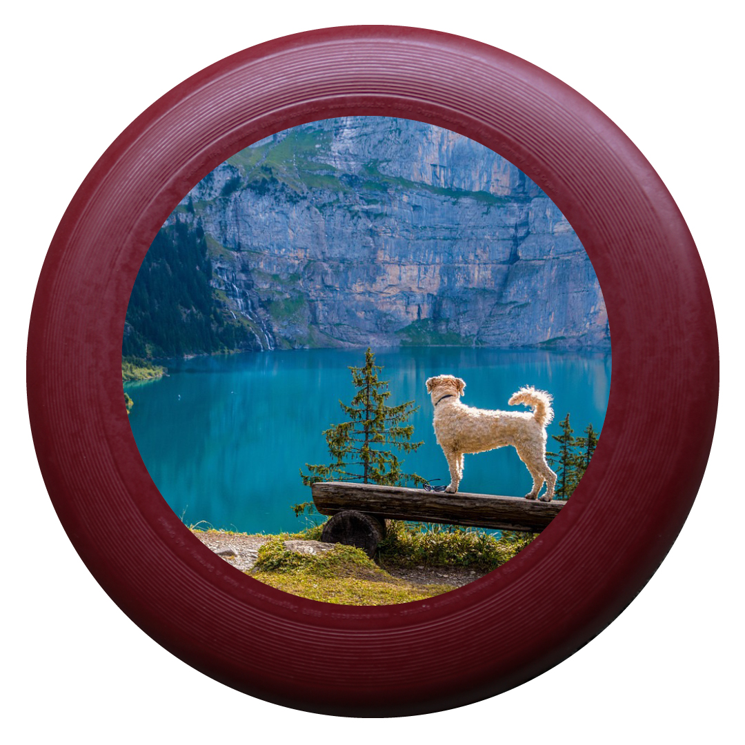 Individuelle eurodisc®  175g Ultimate Frisbee BORDEAUX