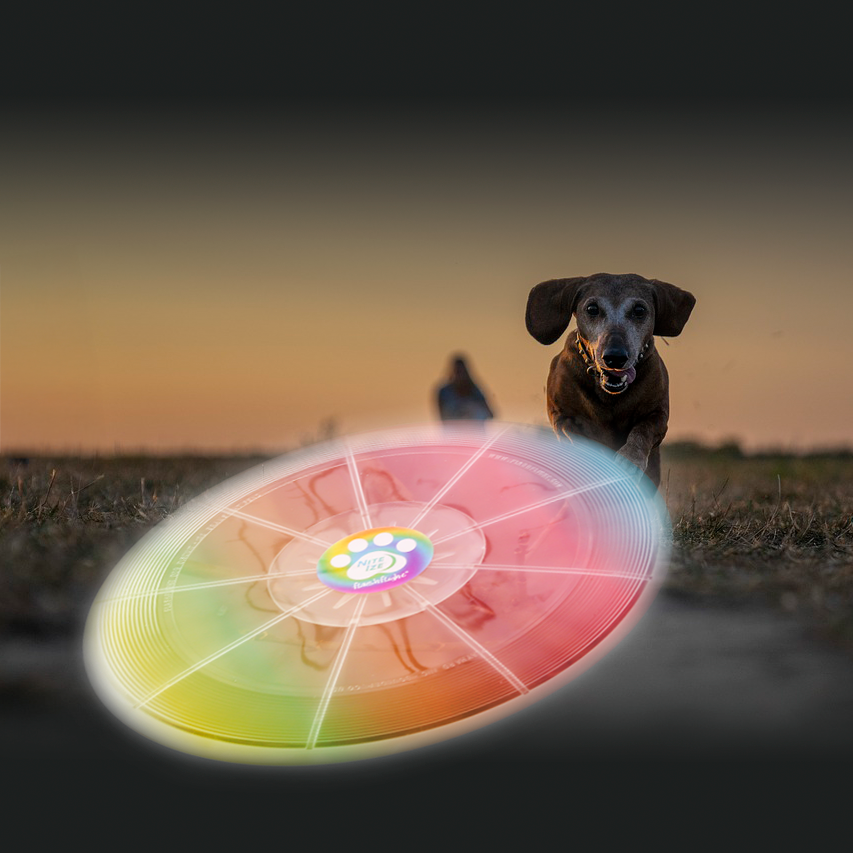 Nite Ize Flashflight Dog Discuit LED Frisbee  